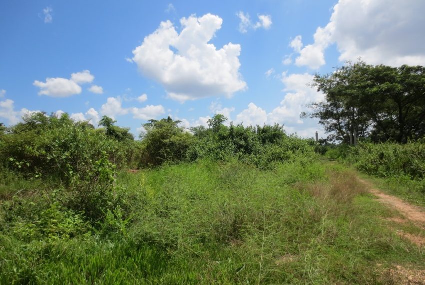 Industry Land For Sale (5)
