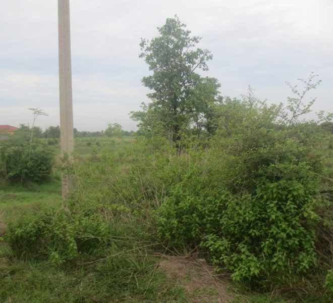 Indutry Land (1)