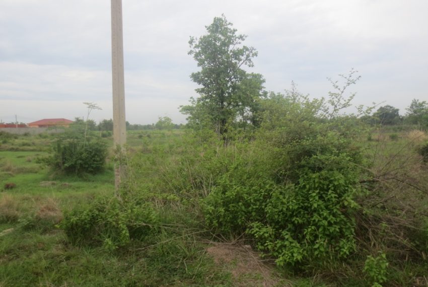 Indutry Land (1)