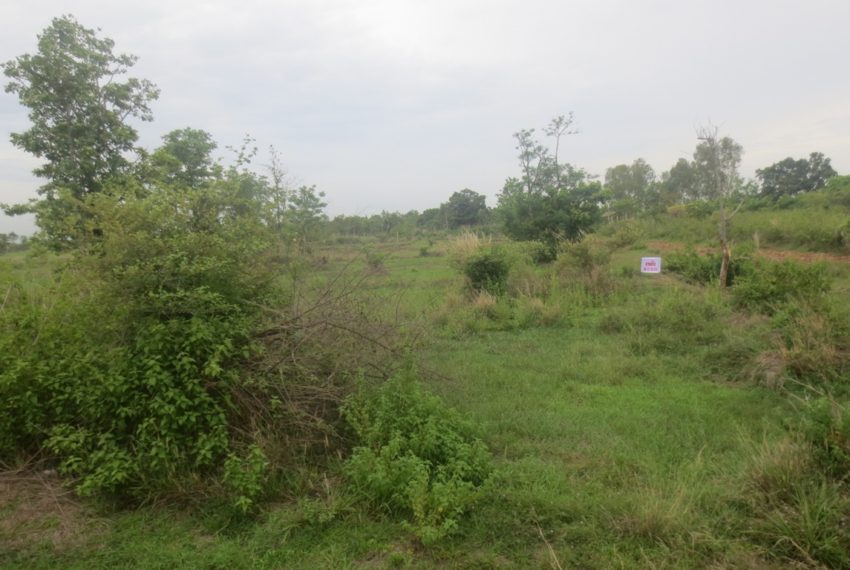 Indutry Land (4)