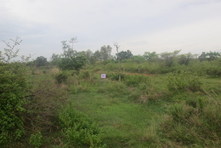 Indutry Land (5)