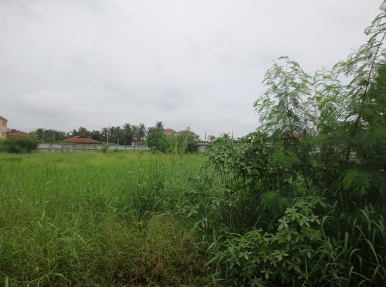 Land for Rent (10)