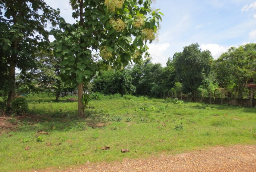 Land for Sale (1)