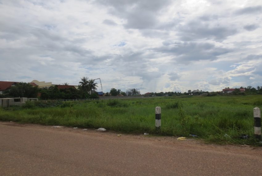 Land for Sale (1)