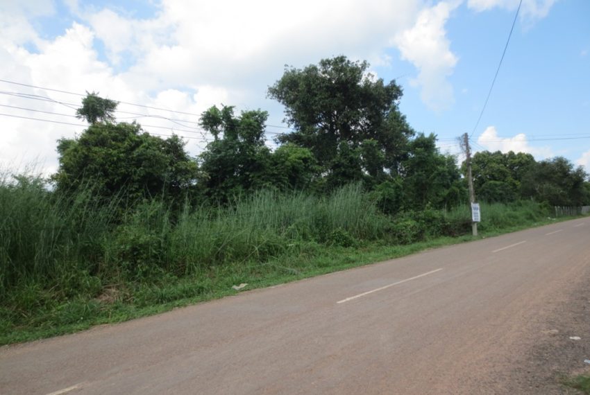 Land for Sale (1)