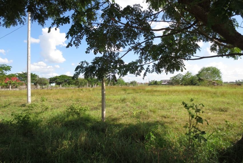 Land for Sale (1)