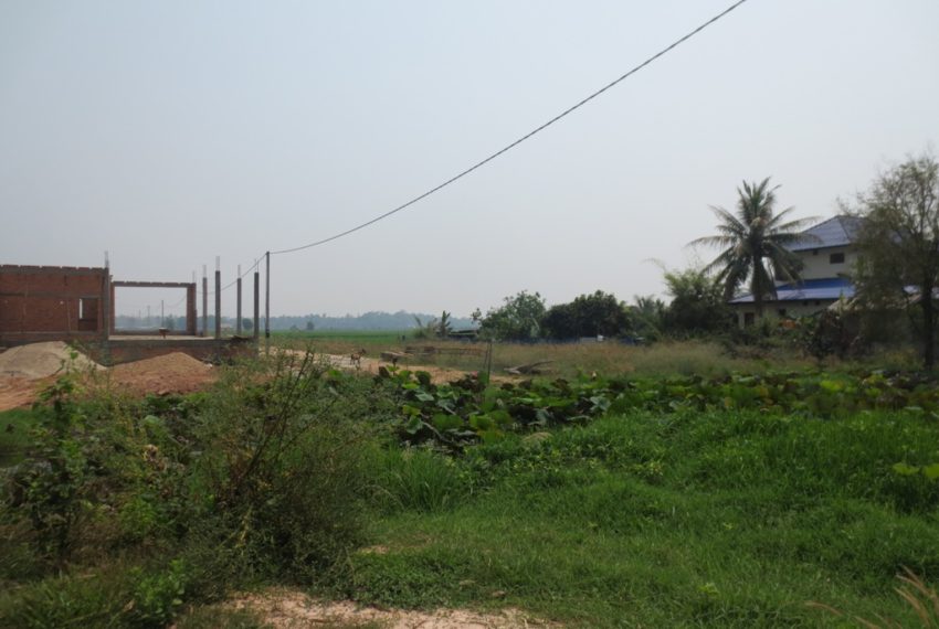 Land for Sale (1)