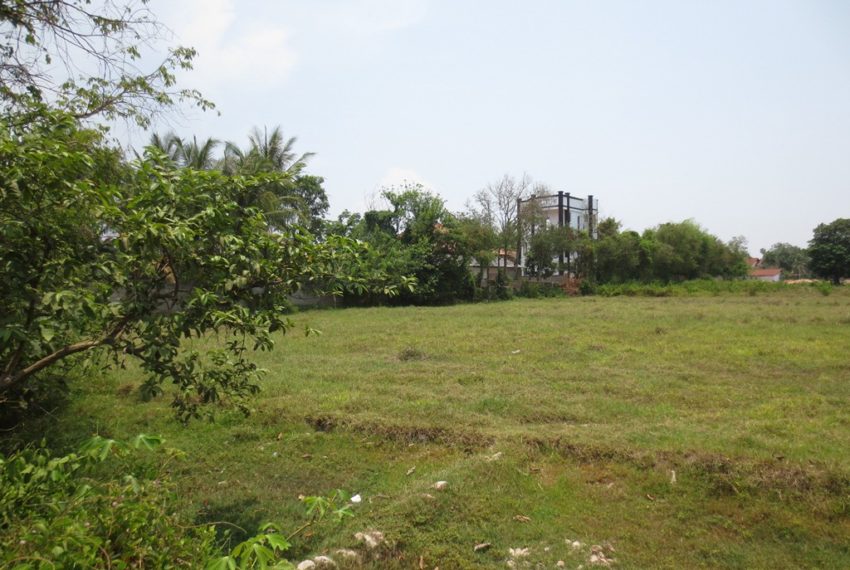 Land for Sale (1)