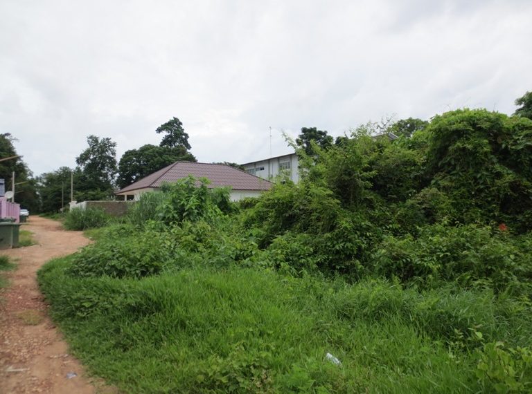 Land for Sale (1)