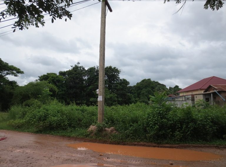 Land for Sale (1)