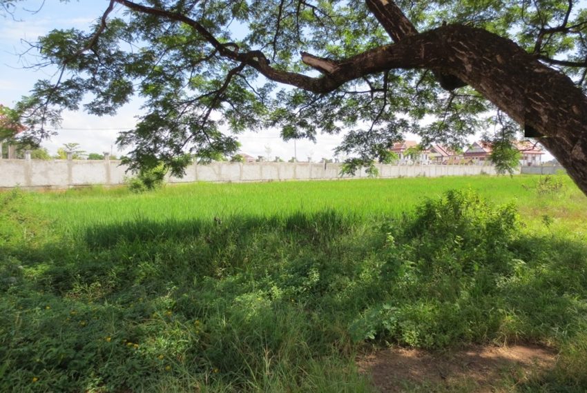 Land for Sale (11)