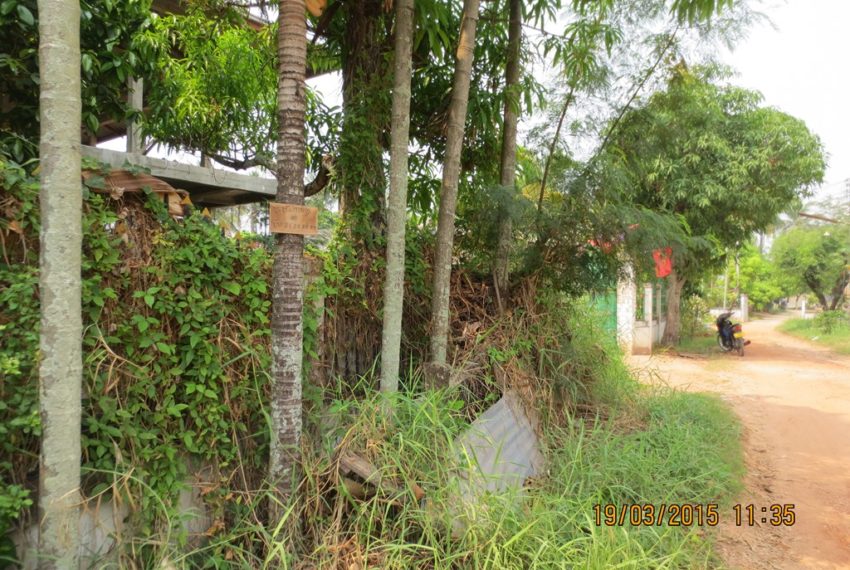 Land for Sale (11)