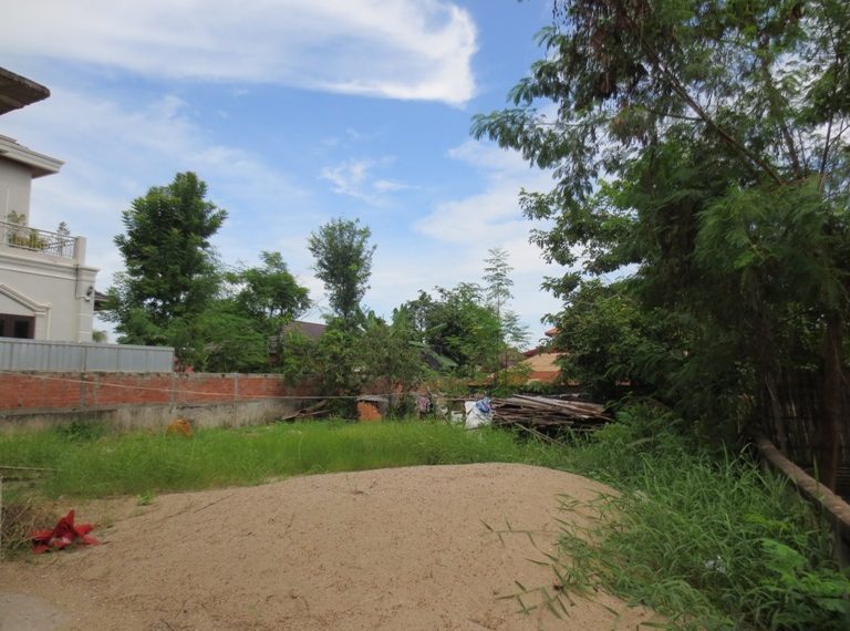 Land for Sale (13)