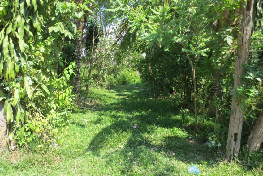 Land for Sale (15)