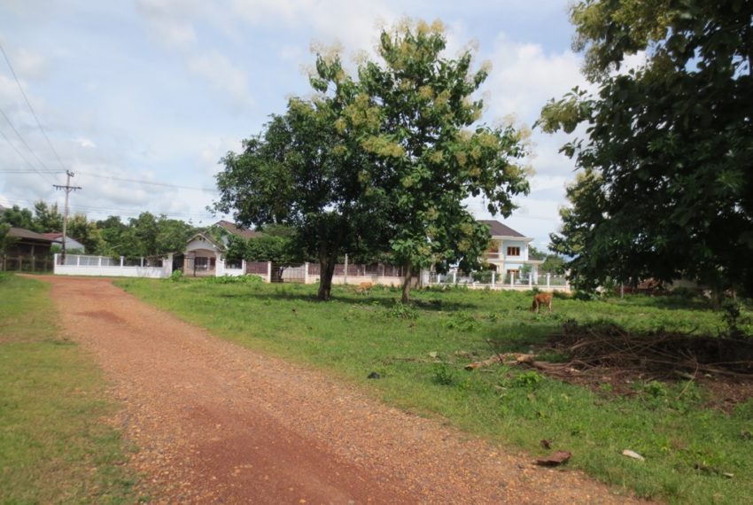 Land for Sale (2)