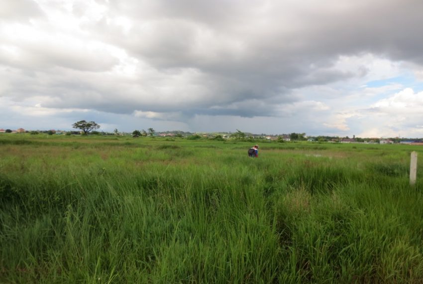 Land for Sale (2)