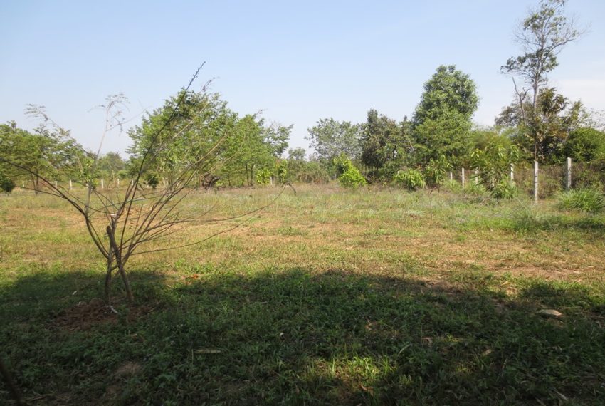 Land for Sale (2)