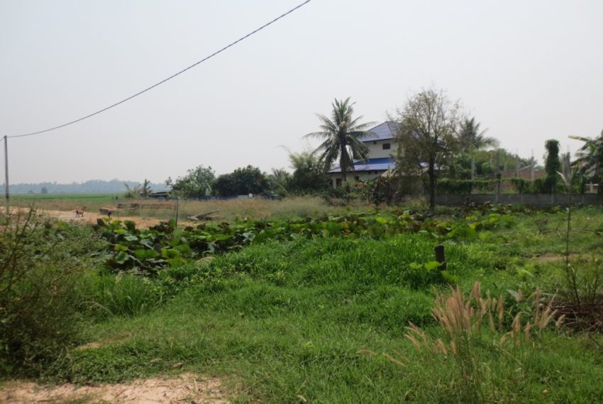 Land for Sale (2)