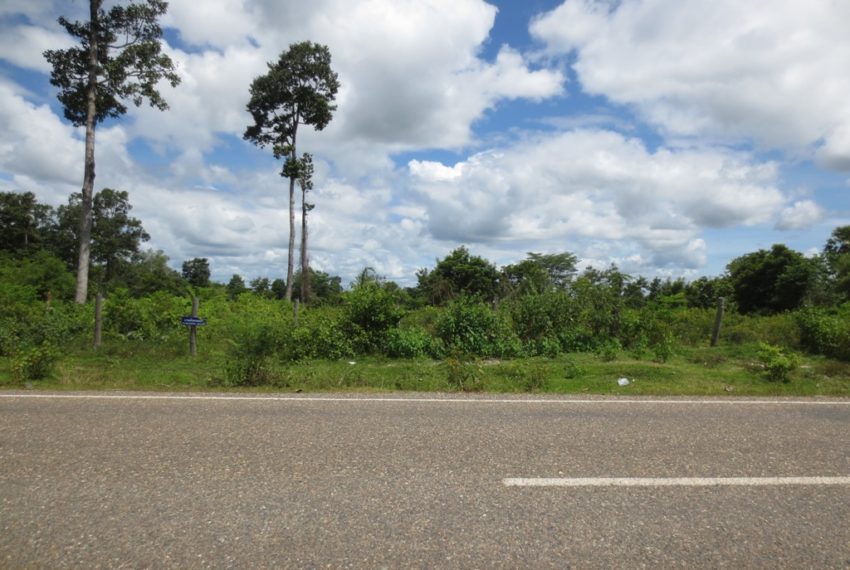 Land for Sale (2)
