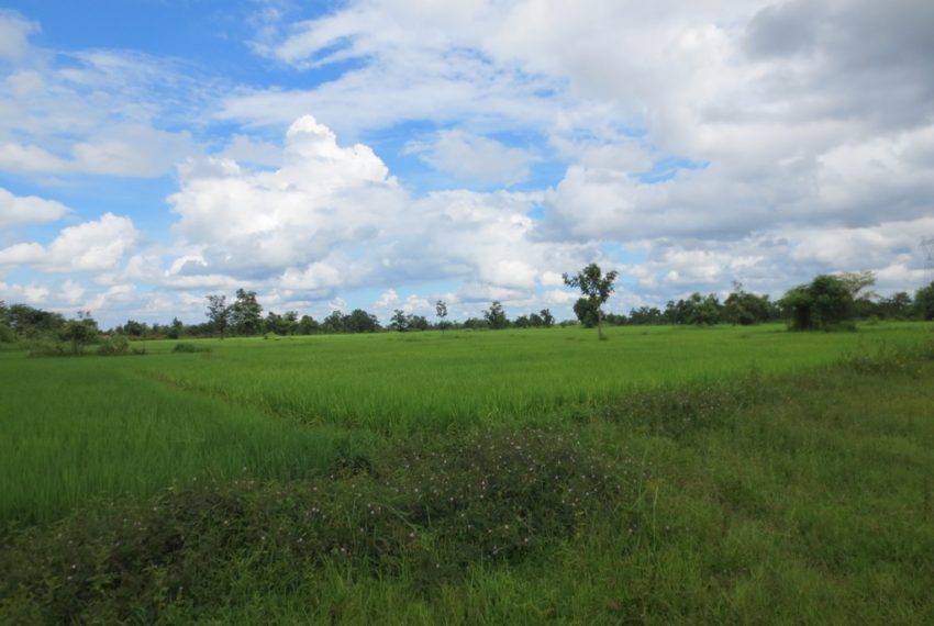 Land for Sale (3)