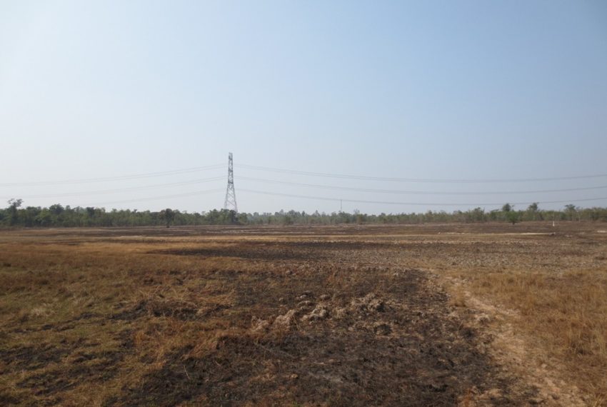 Land for Sale (3)