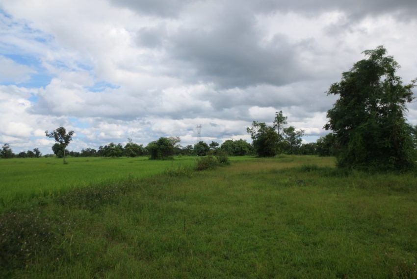 Land for Sale (4)