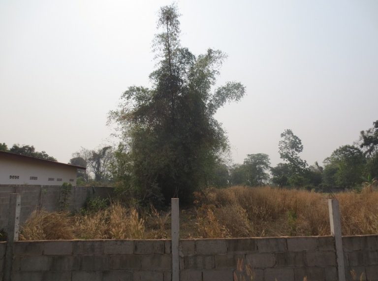 Land for Sale (4)