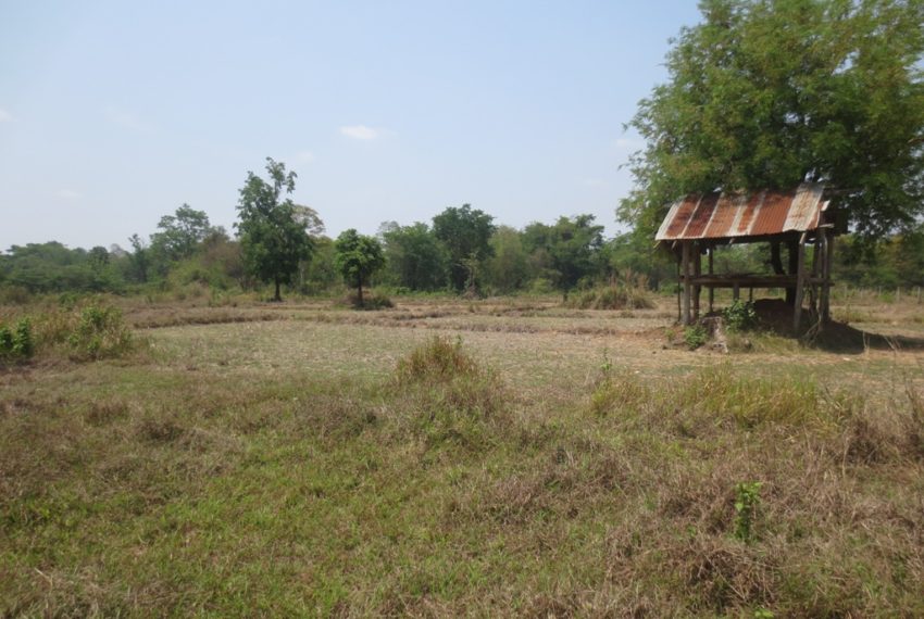 Land for Sale (4)