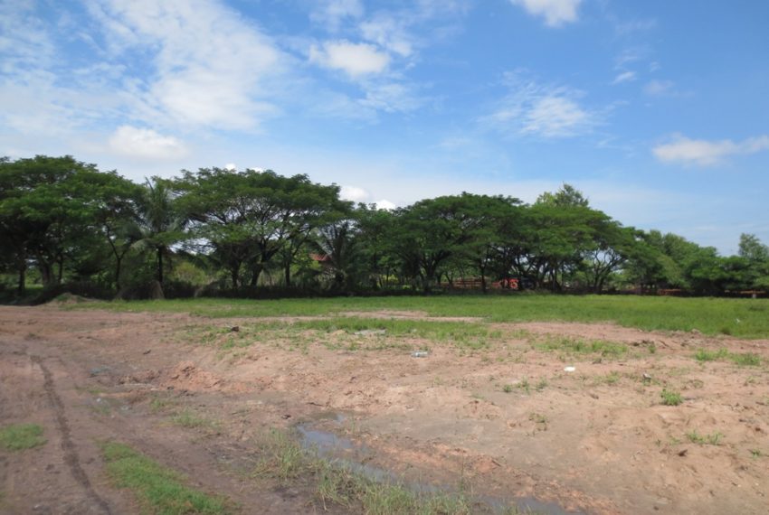 Land for Sale (5)