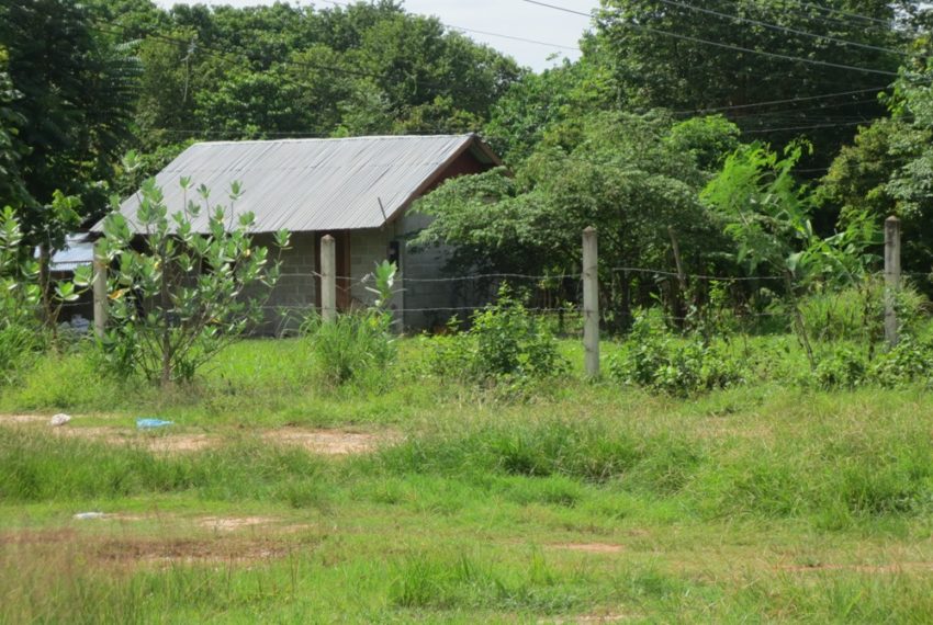 Land for Sale (5)