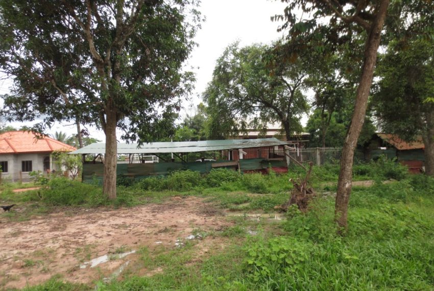 Land for Sale (5)