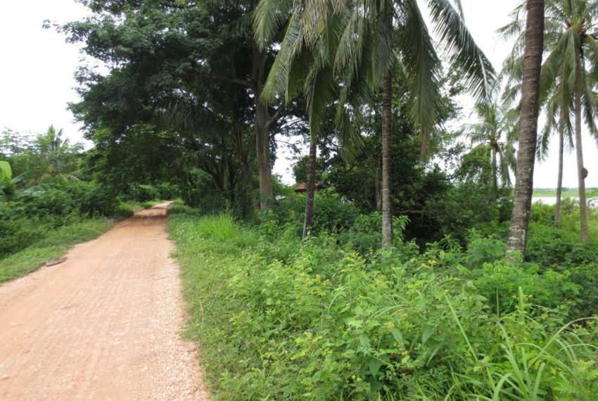 Land for Sale (5)