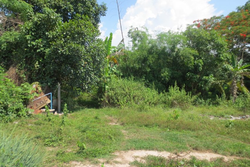 Land for Sale (6)