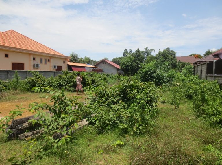 Land for Sale (6)