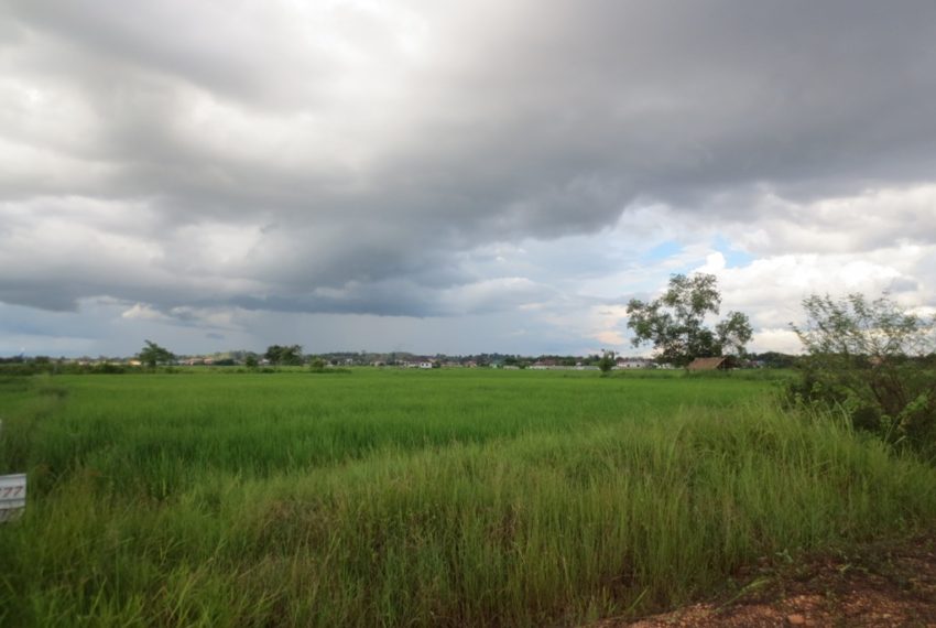 Land for Sale (6)