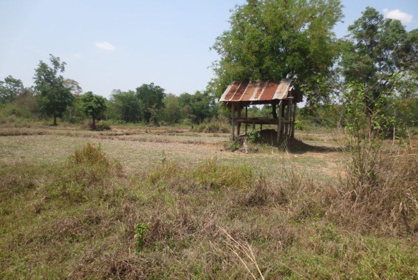 Land for Sale (7)