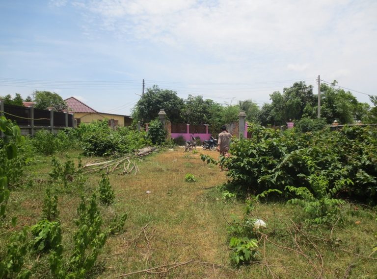 Land for Sale (7)