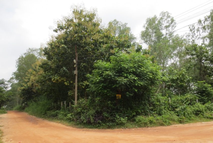 Land for Sale (7)