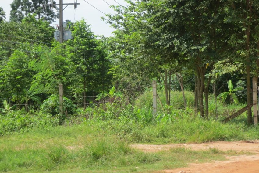 Land for Sale (8)