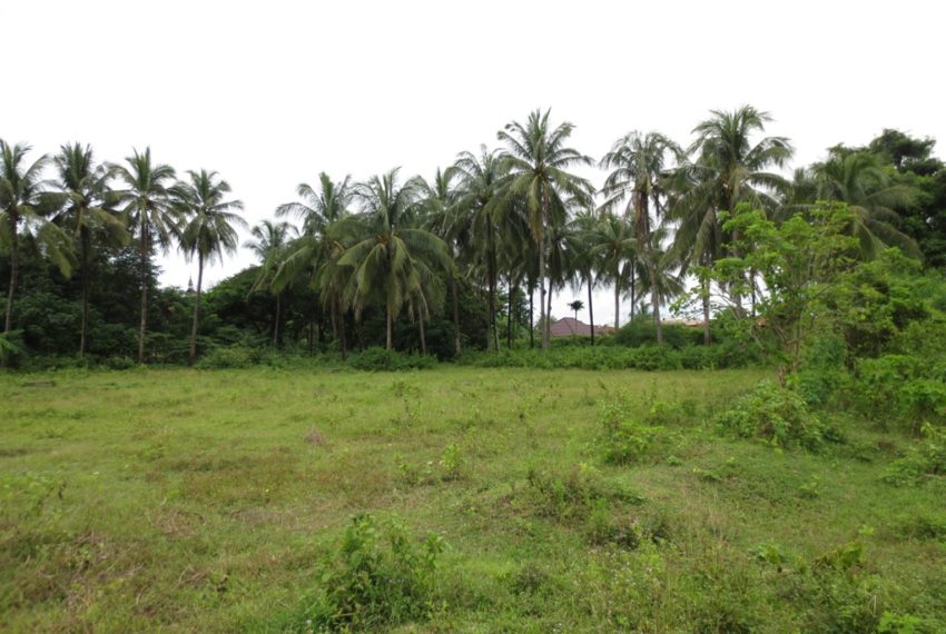 Land for Sale (9)