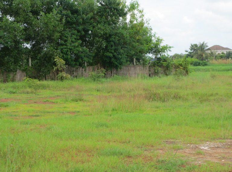 Land for sale (1)