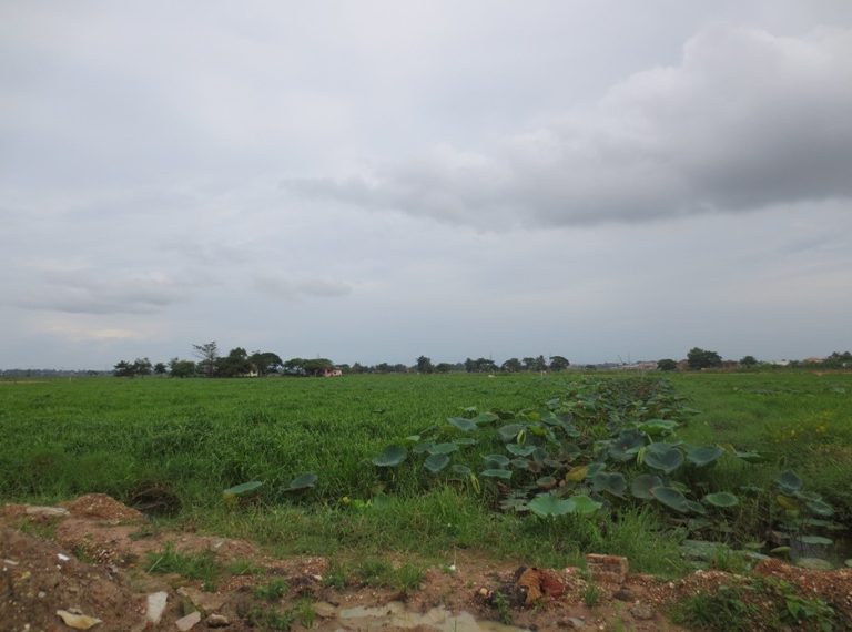Land for sale (1)