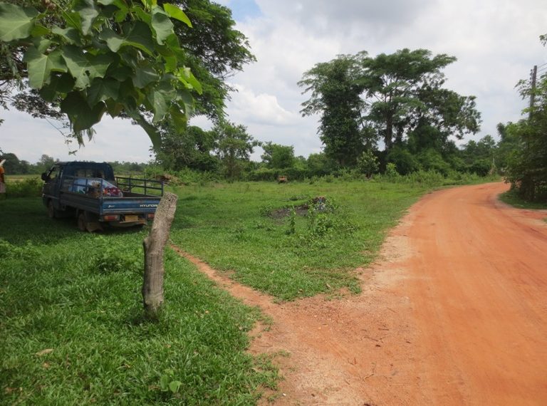 Land for sale (1)