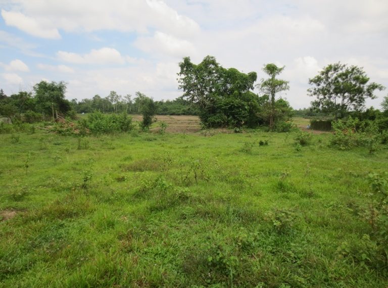 Land for sale (3)