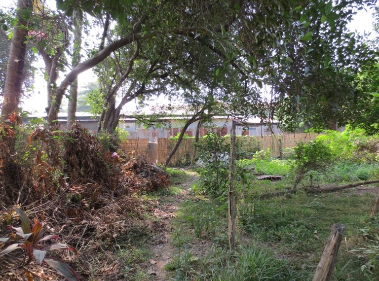 Land for sale (4)