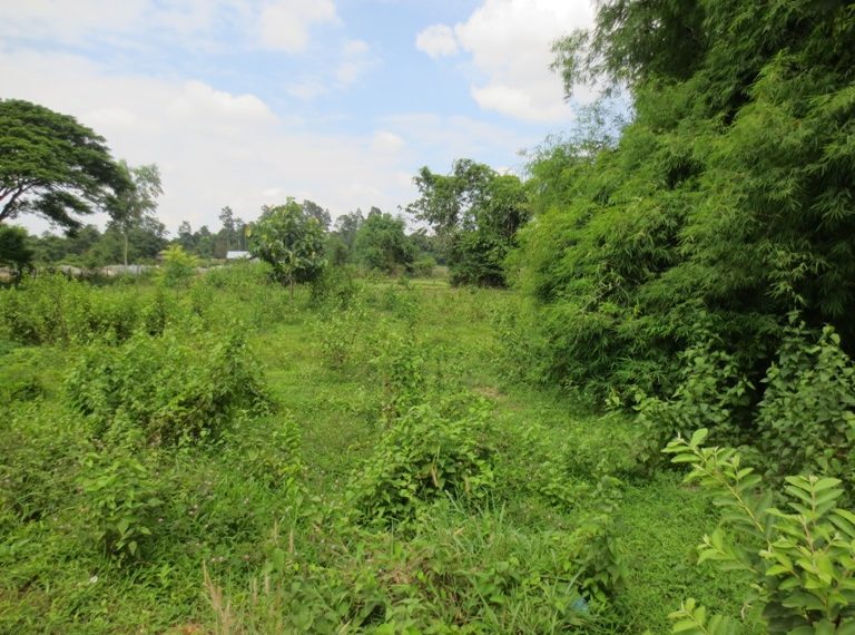 Land for sale (4)