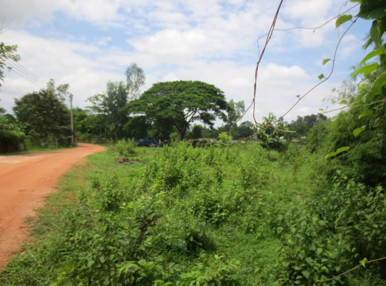 Land for sale (5)