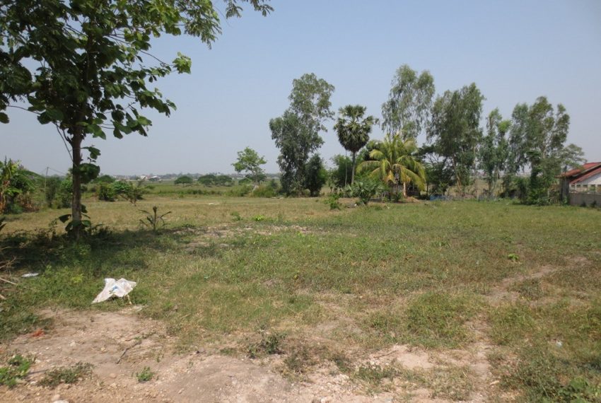 Land for sale (6)