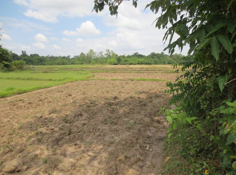Land for sale (6)