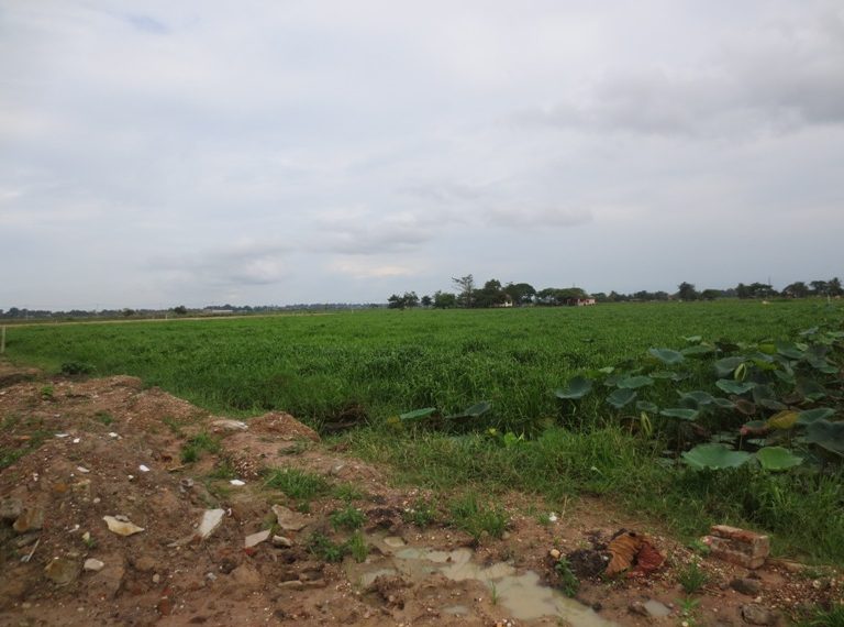 Land for sale (6)